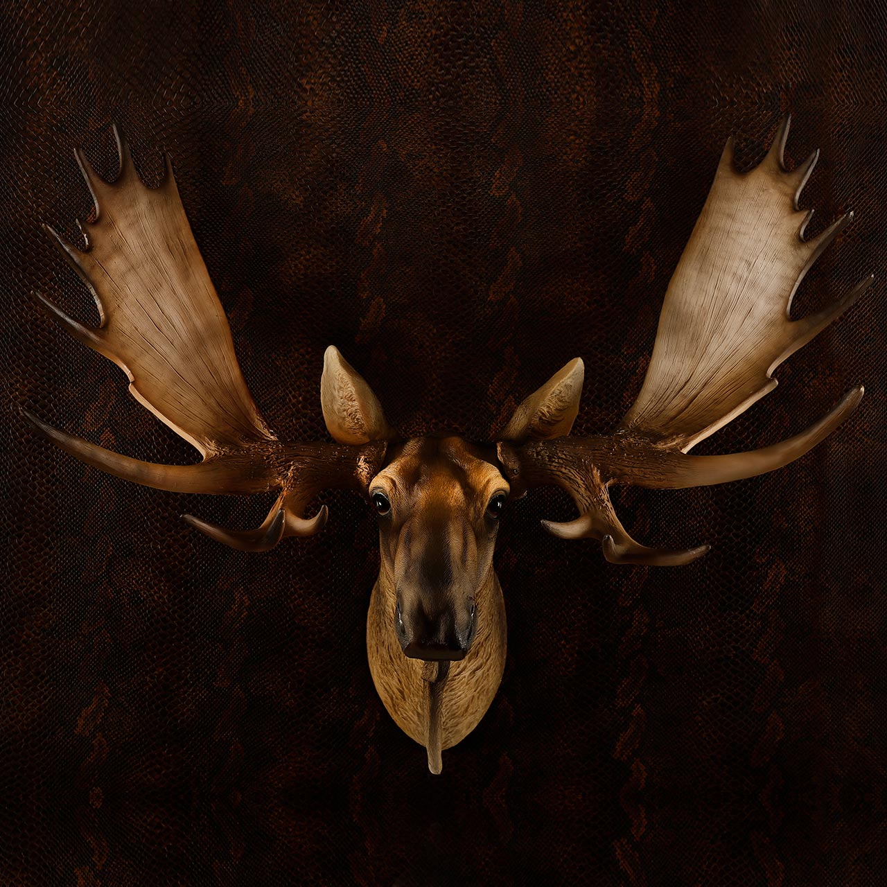 Moose Head Trophy for Wall Decoration