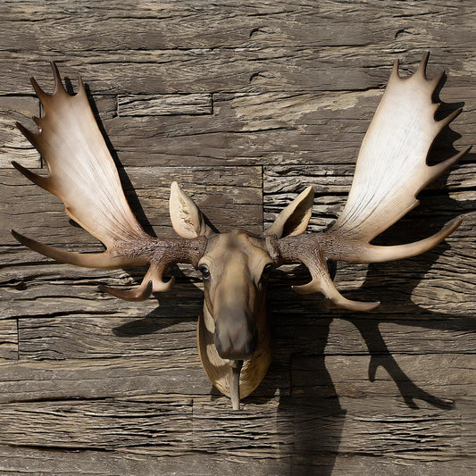 Moose Head Trophy for Wall Decoration