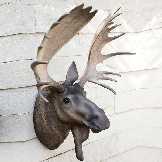 Moose Head Trophy for Wall Decoration