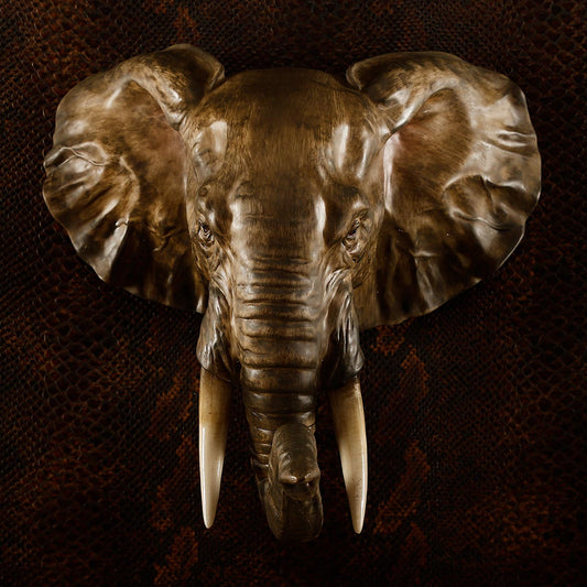 Elephant Head Trophy for Wall Decoration