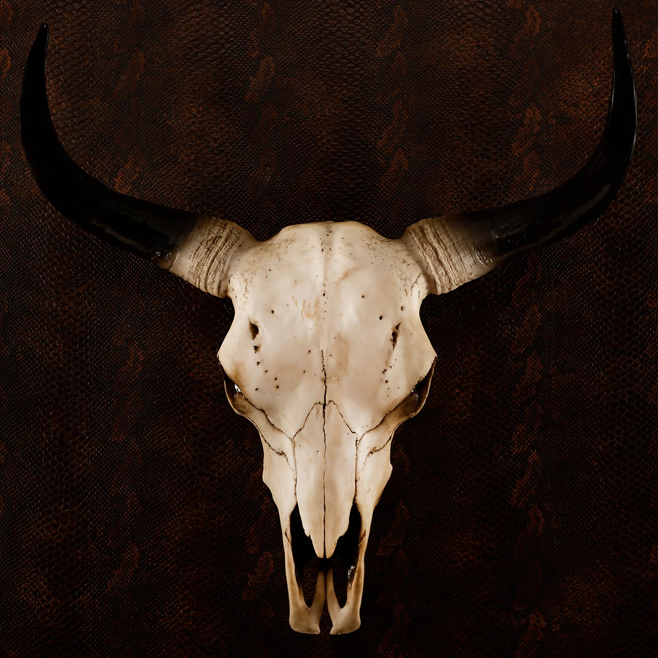 Longhorn Ox Skull Trophy