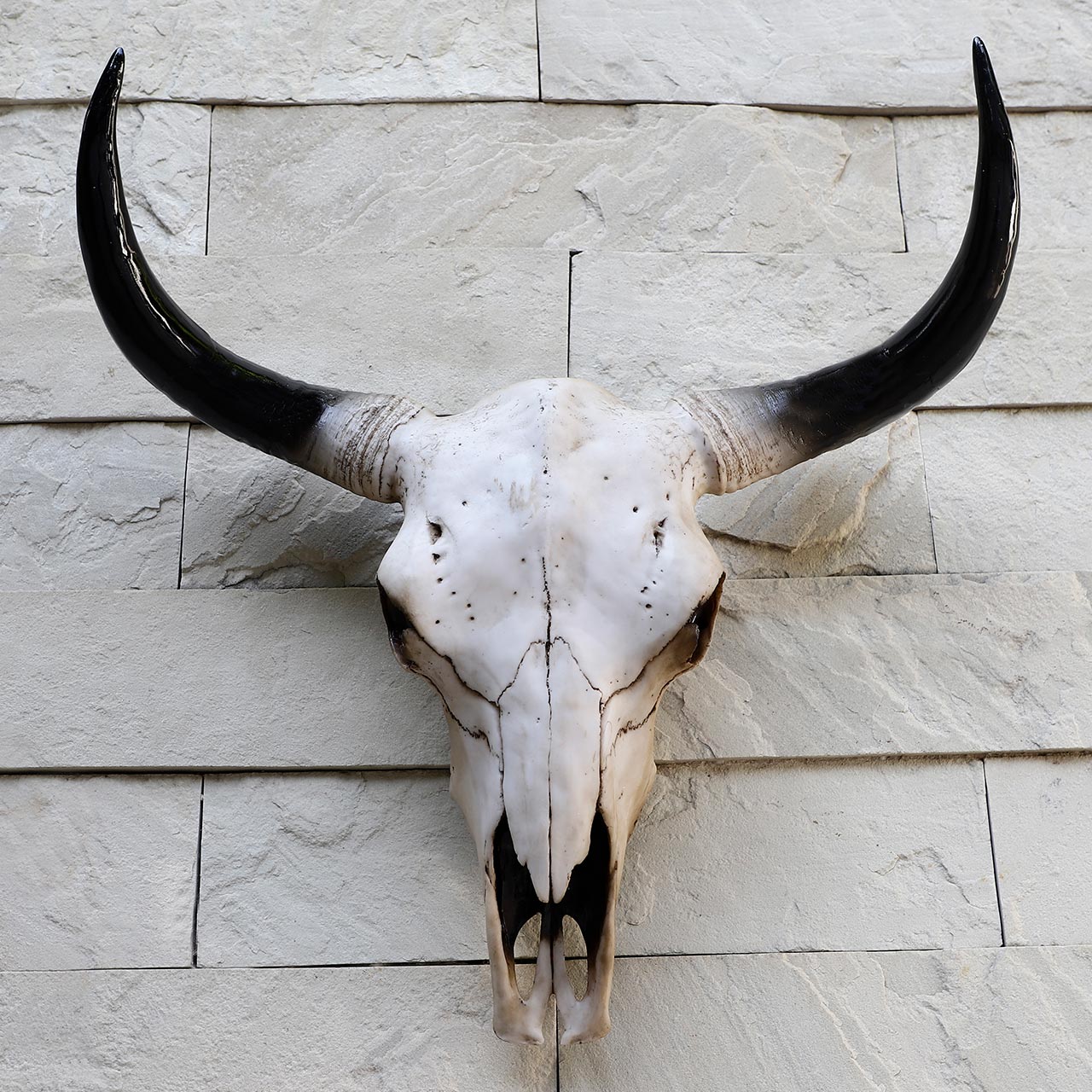 Longhorn Ox Skull Trophy