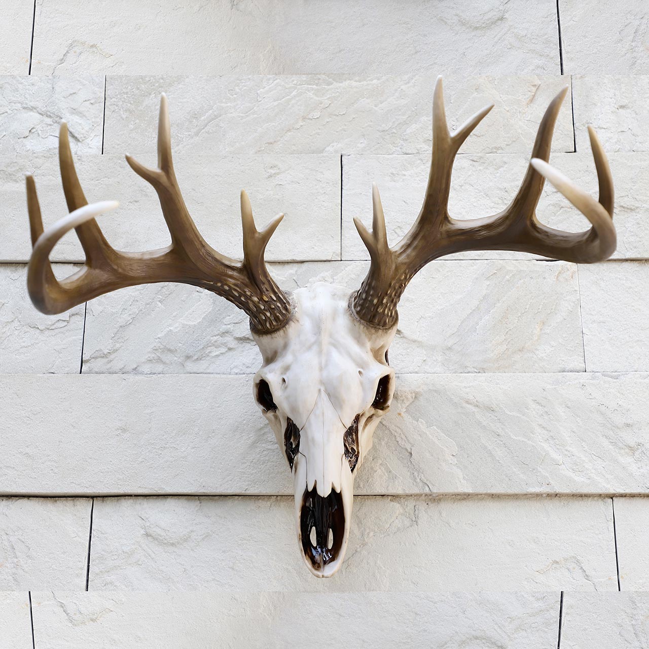 European Elk Skull Trophy Wall Hanging Decoration