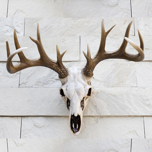 European Elk Skull Trophy Wall Hanging Decoration